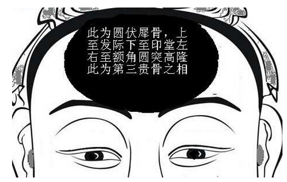 朝天伏犀骨