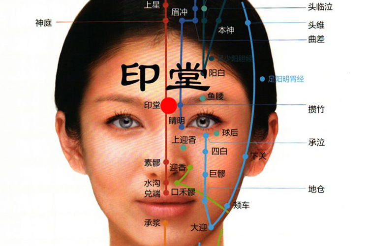 印堂在哪里方正示意图图片